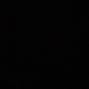 Meet your Posher, Dustin